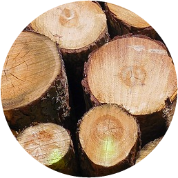 Tree work
